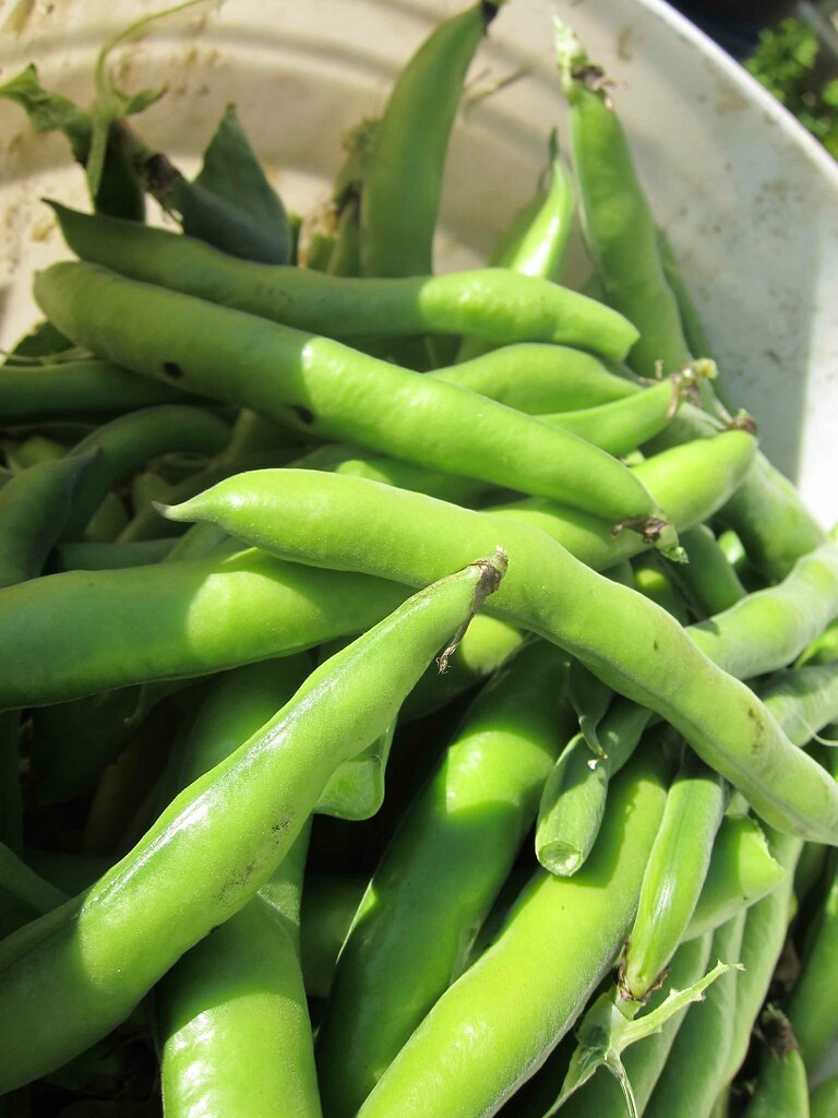 Green Beans: The Banned Chemical Carriers (image credits: flickr)
