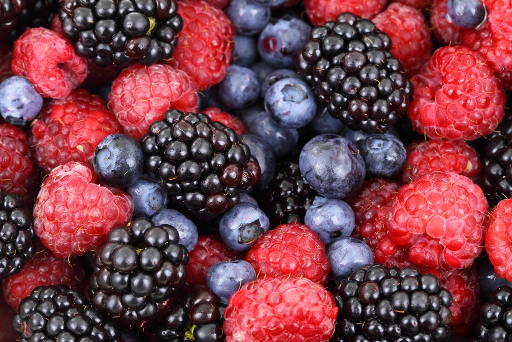 The Healing Effects of Berries (image credits: rawpixel)