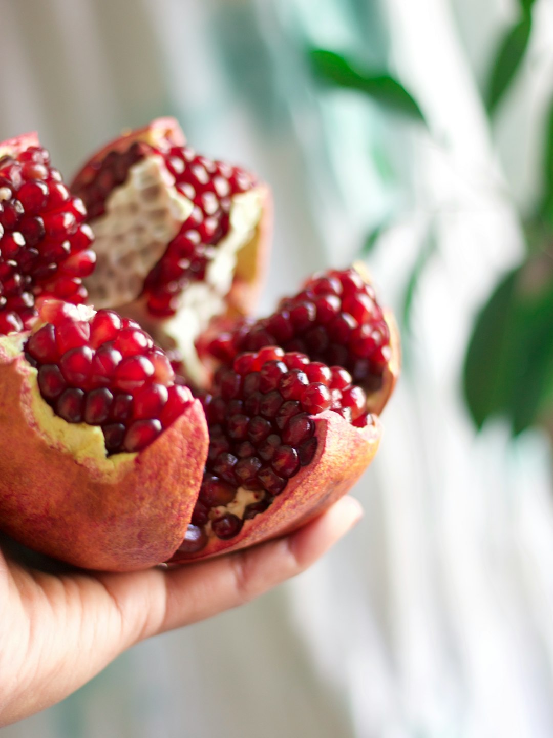 Pomegranates: Jewel-Like Antioxidant Bombs (image credits: unsplash)
