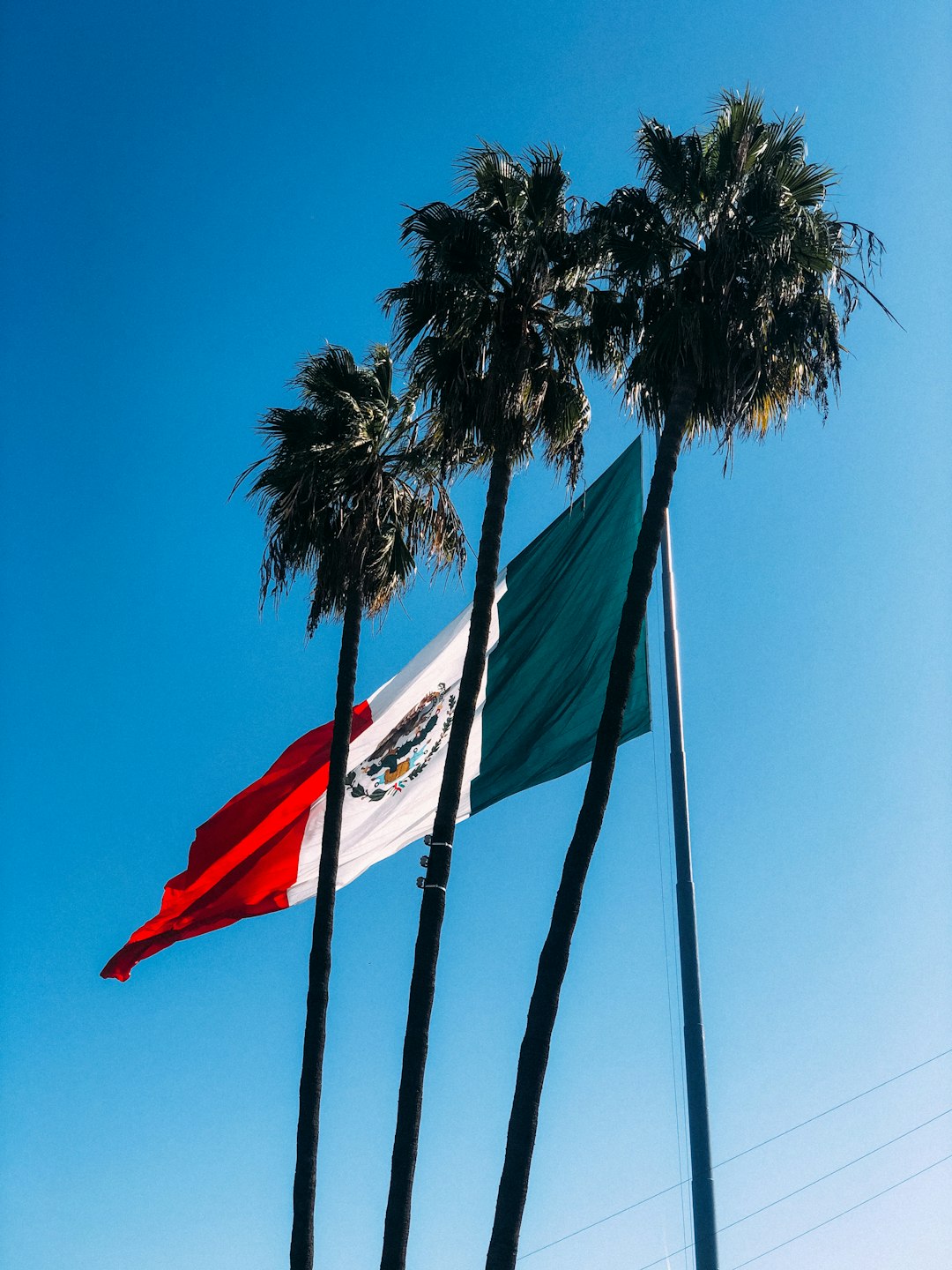 A Mexican Border Town's Accidental Masterpiece (image credits: unsplash)