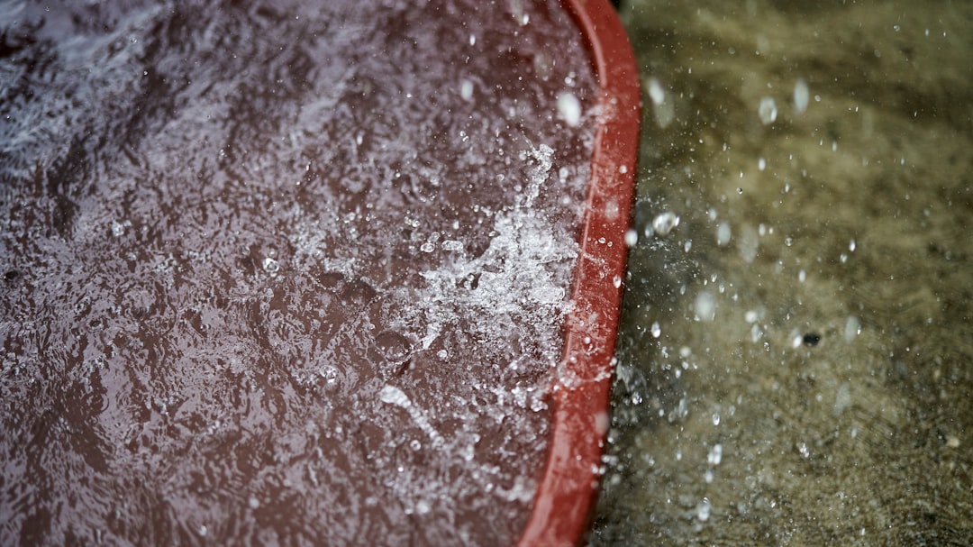 Improper Thawing of Frozen Foods (image credits: unsplash)