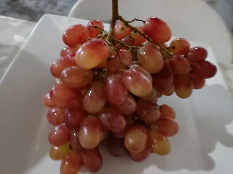 Grapes: The Snackable Heart Helper (image credits: wikimedia)