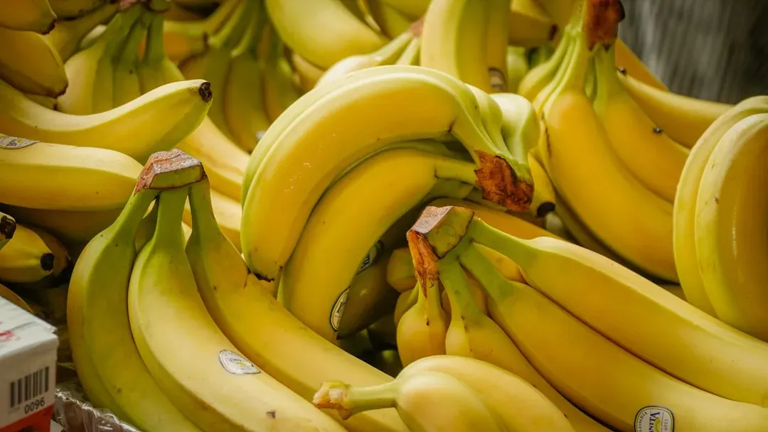 3. Bananas: A Sweet Surprise That's Actually Safe (Image Credits: Unsplash)