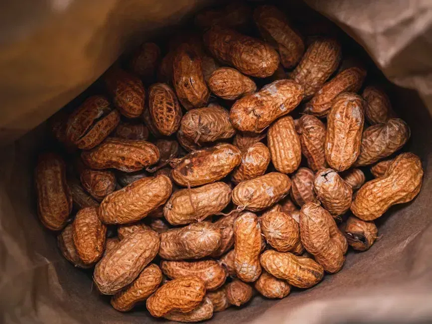1. Boiled Peanuts: The Soggy Snack That Divides the Nation (Image Credits: Pexels)