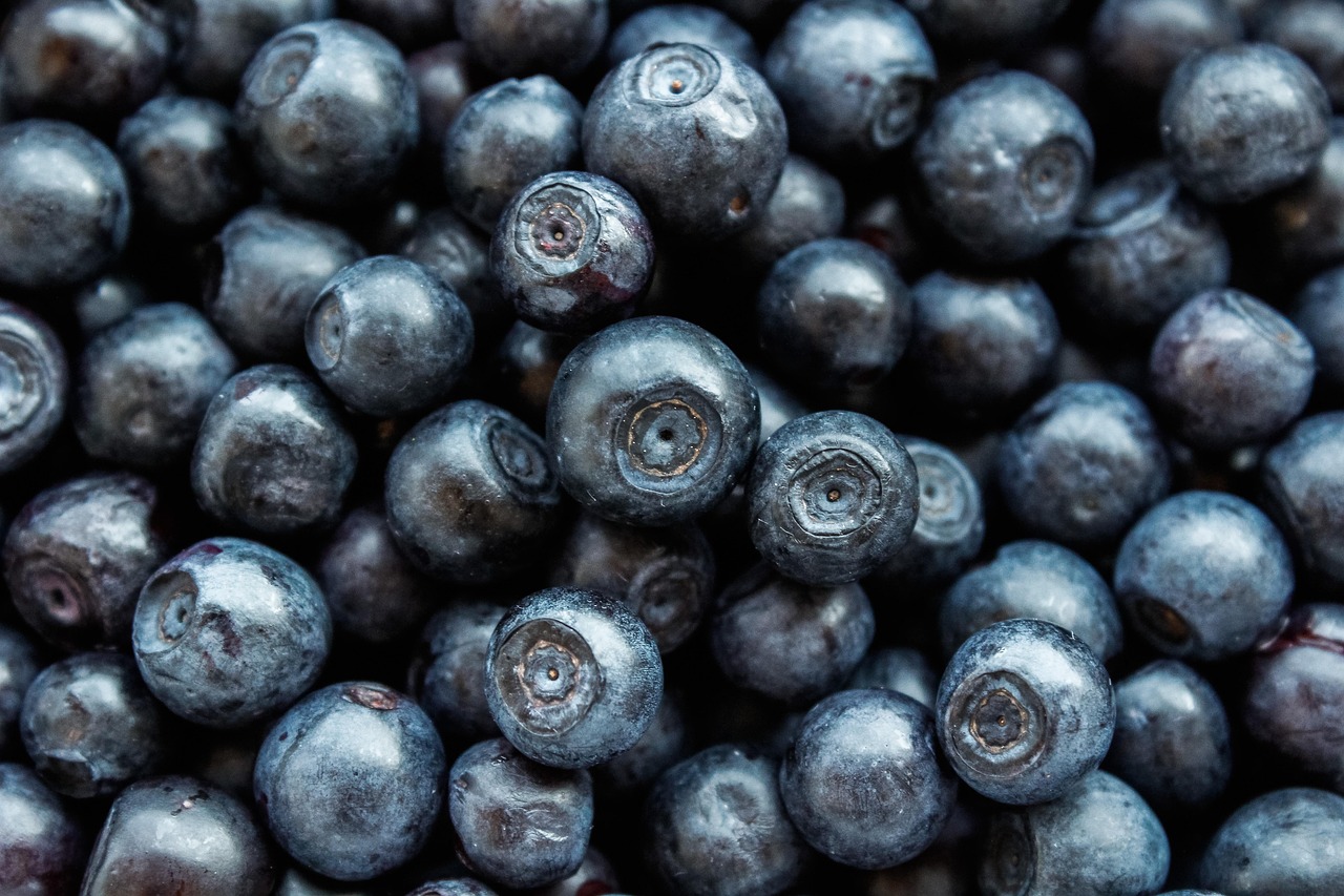 Blueberries: Brain Boosters & Antioxidant Powerhouses (image credits: pixabay)