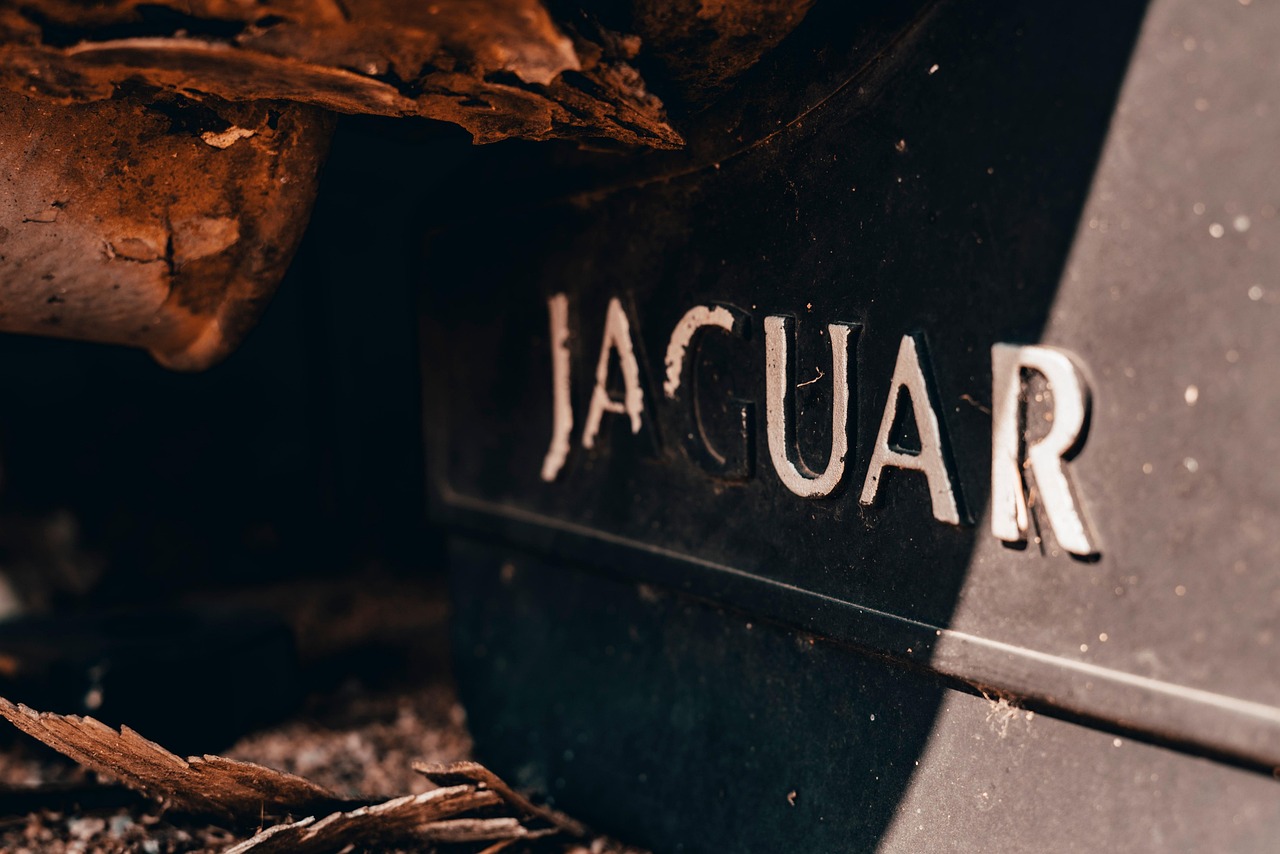 Jaguar's Rebrand Disaster: Forgetting What You Actually Sell (image credits: pixabay)