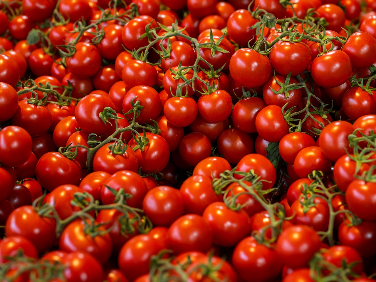 Cherry Tomatoes: The Exploding Flavor Bombs (image credits: pixabay)
