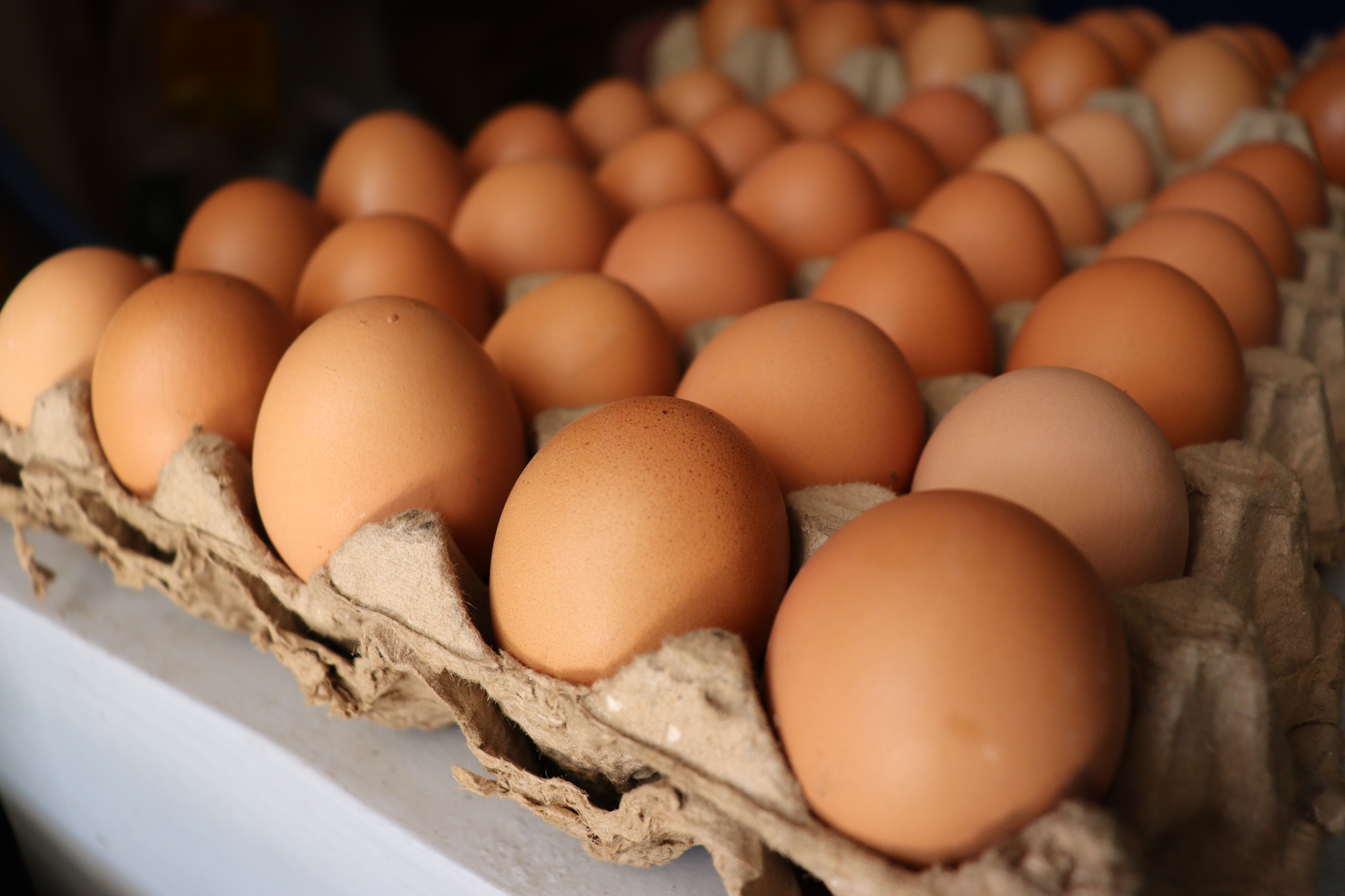Eggs: Cholesterol Concerns (image credits: wikimedia)