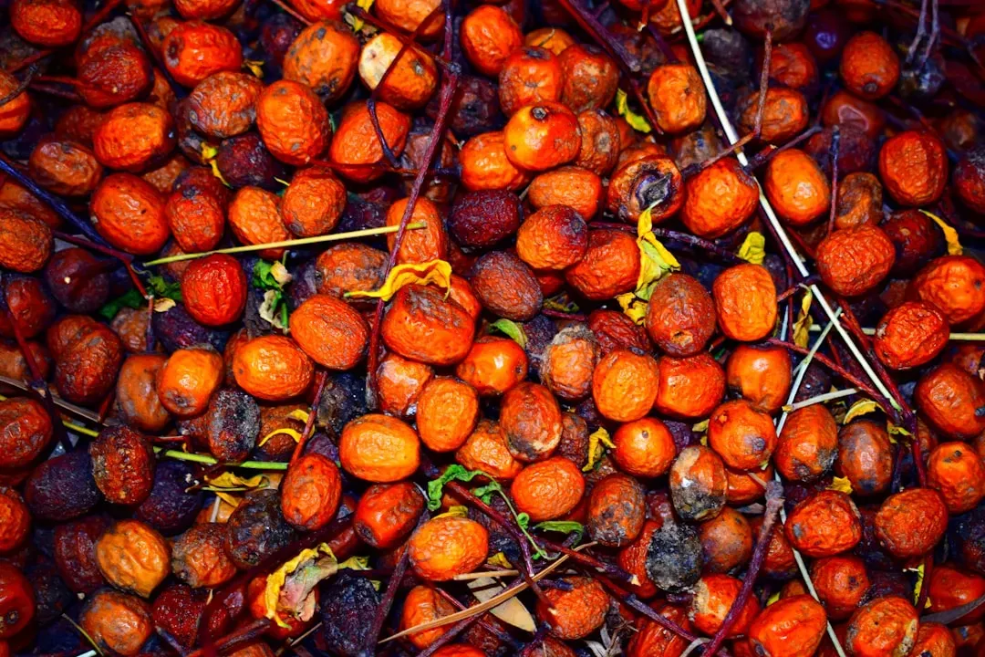 4. Palm Oil's Environmental Toll (Image Credits: Unsplash)