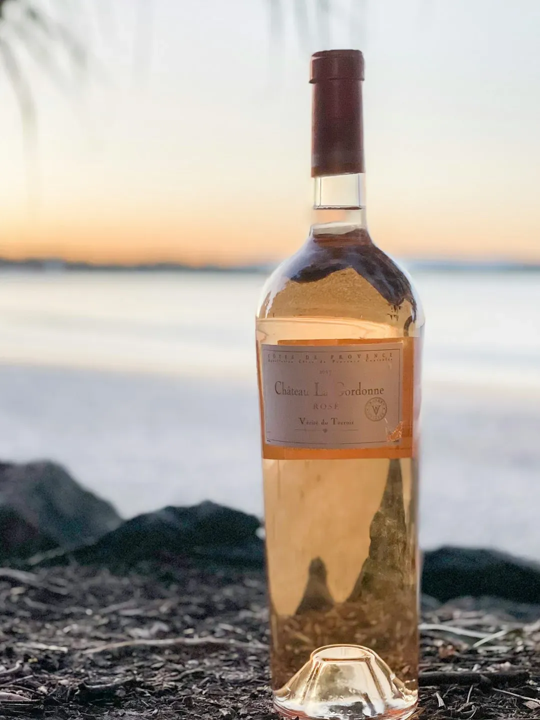 Large Format Bottles Offer Surprising Value (Image Credits: Unsplash)