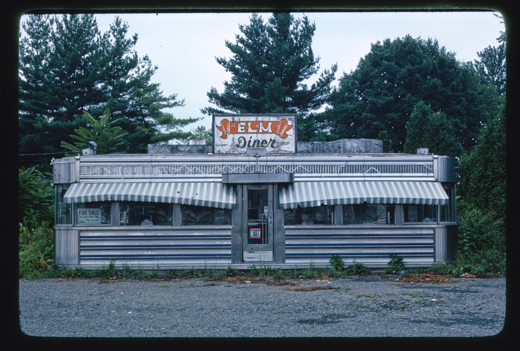 Depression Era Resilience: Cheap Eats and Cultural Adaptation (Image Credits: Rawpixel)