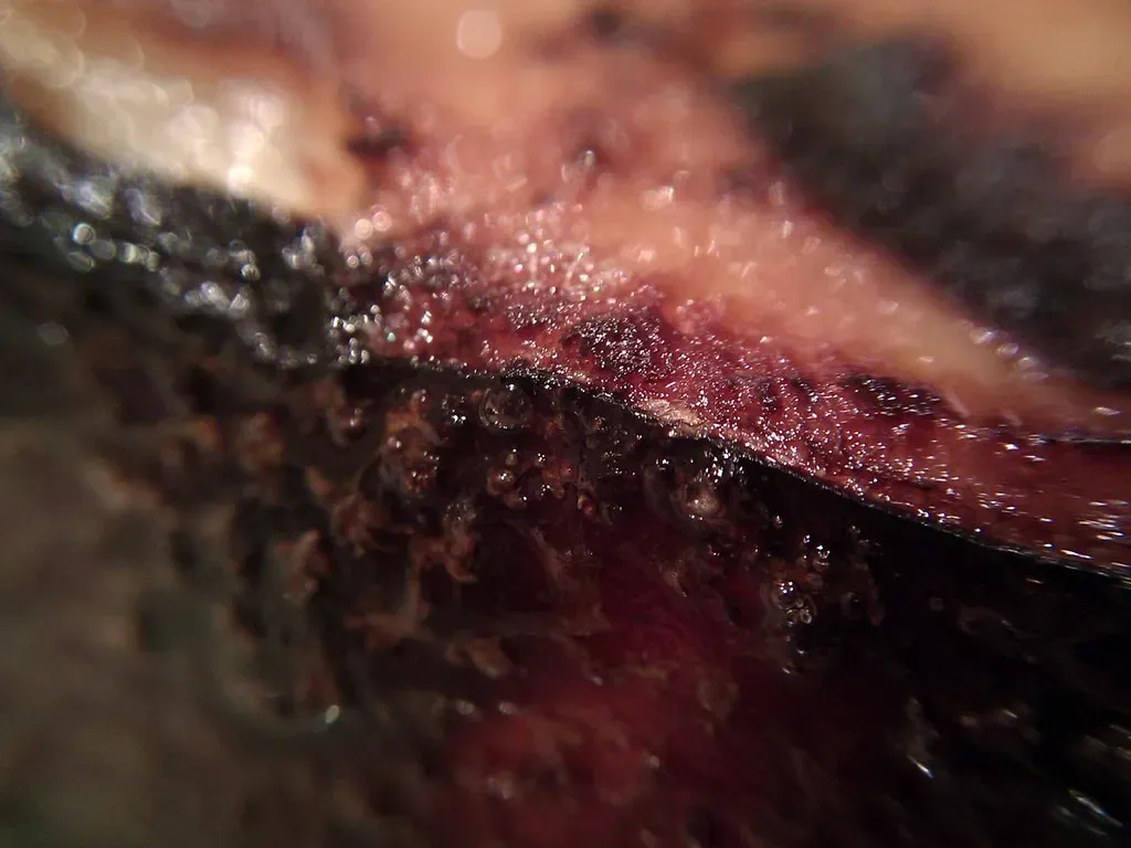 Coarse or Dull Texture on the Flesh (Image Credits: Flickr)