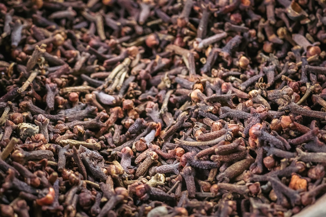 Cloves: The Antioxidant Champion (Image Credits: Unsplash)