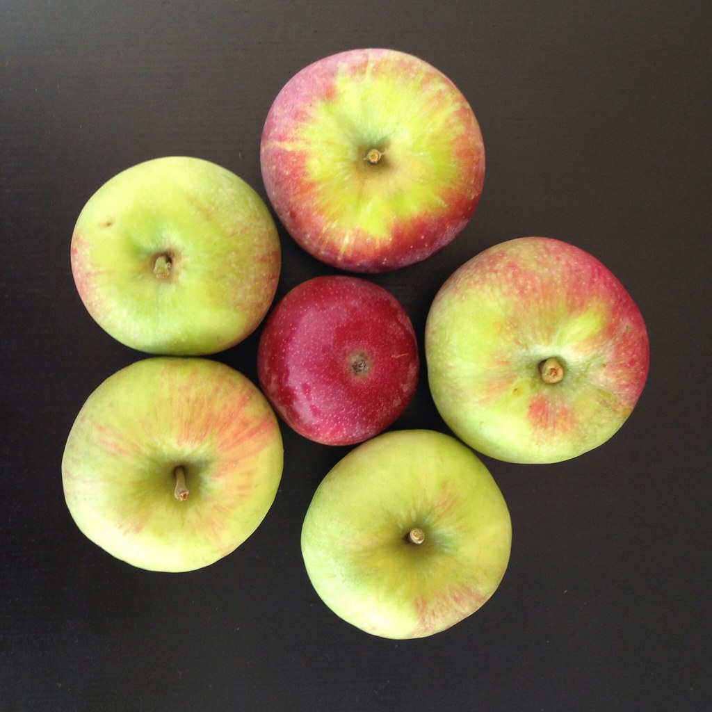 Salt and Apples (image credits: flickr)