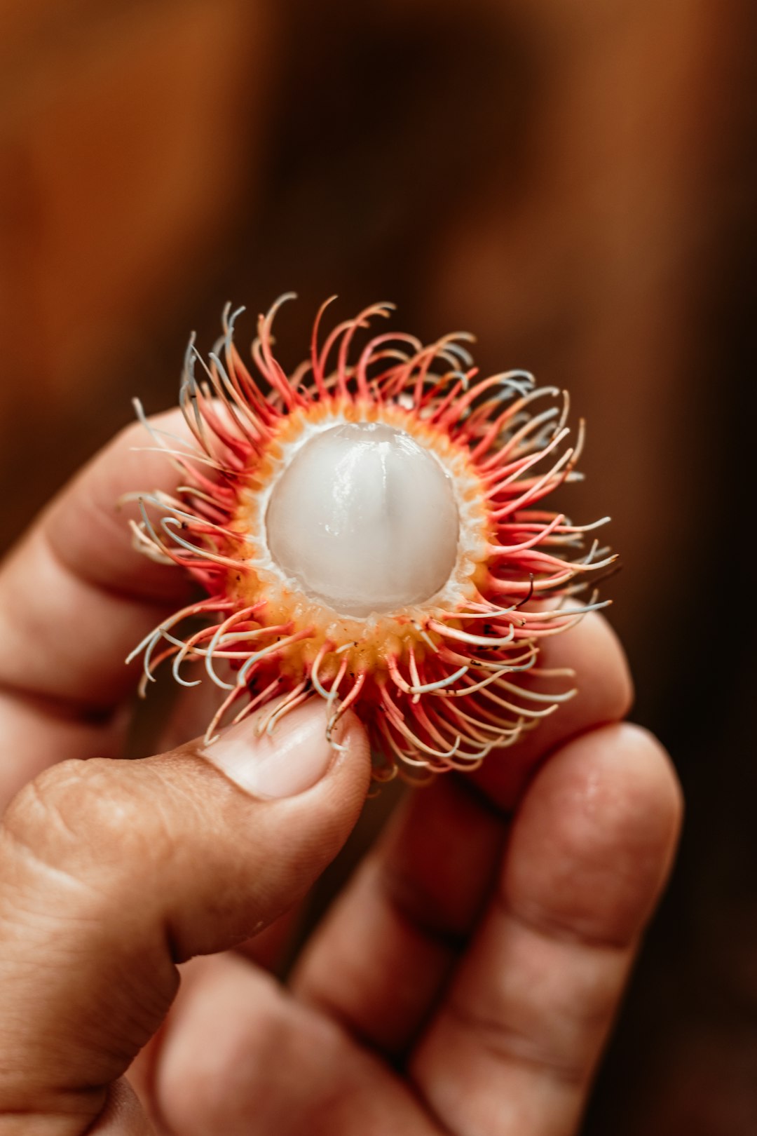 Rambutan: The Hairy Lychee (image credits: unsplash)