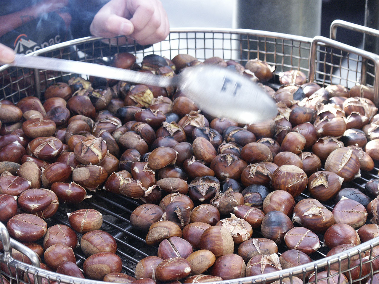 Chestnuts (image credits: wikimedia)