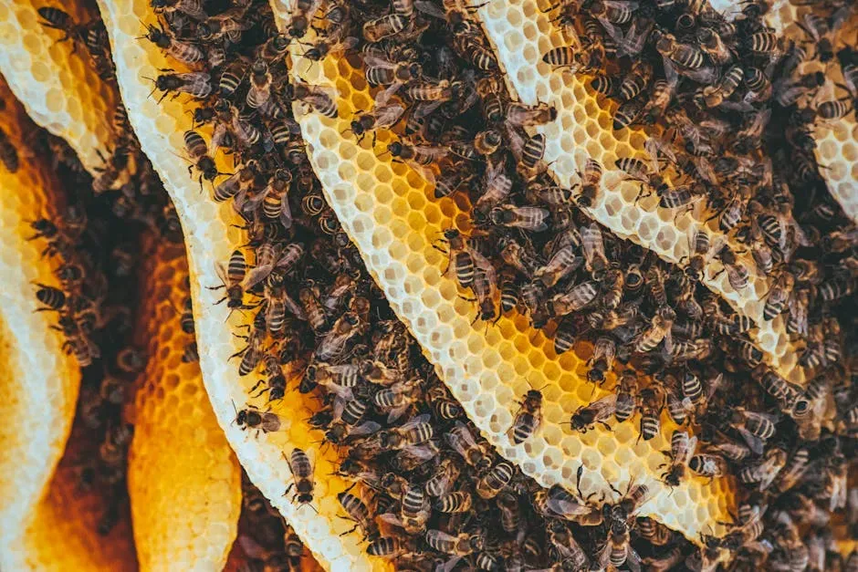 What Honey Contains Beyond Sugar (Image Credits: Pexels)