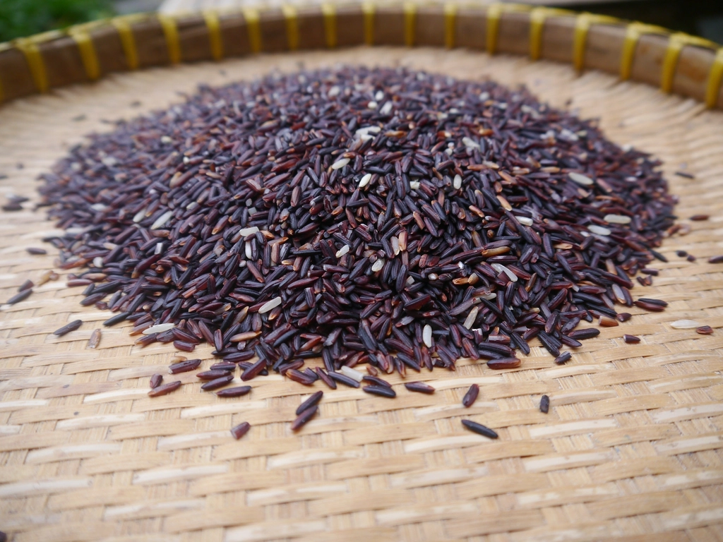 Wild Rice: The Grass Seed Surprise (image credits: rawpixel)