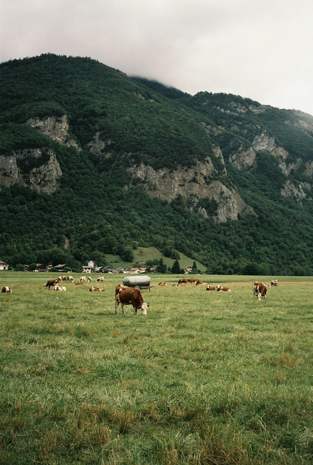 The European Union's Collective Strength (image credits: unsplash)