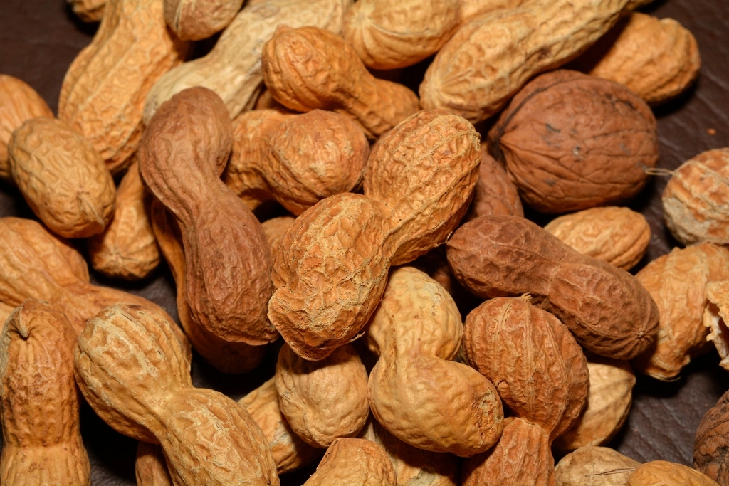 1. Peanuts: The Affordable Nutritional Champion (image credits: rawpixel)