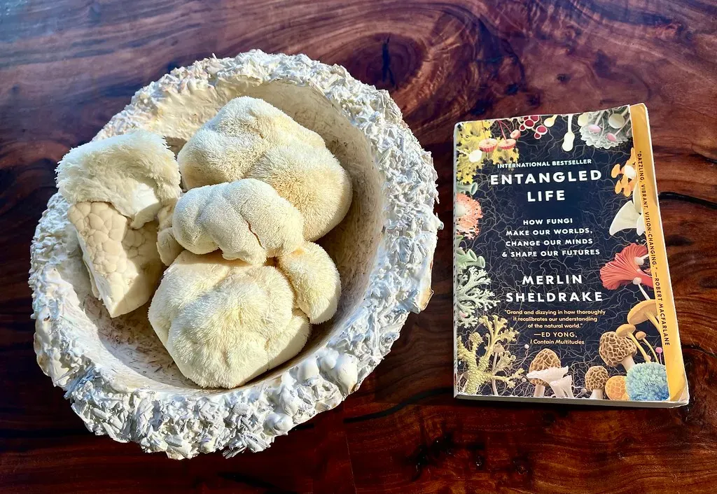 7. Miso Fermented in Space Tastes Different From Earth Miso (jurvetson, Flickr, CC BY 2.0)