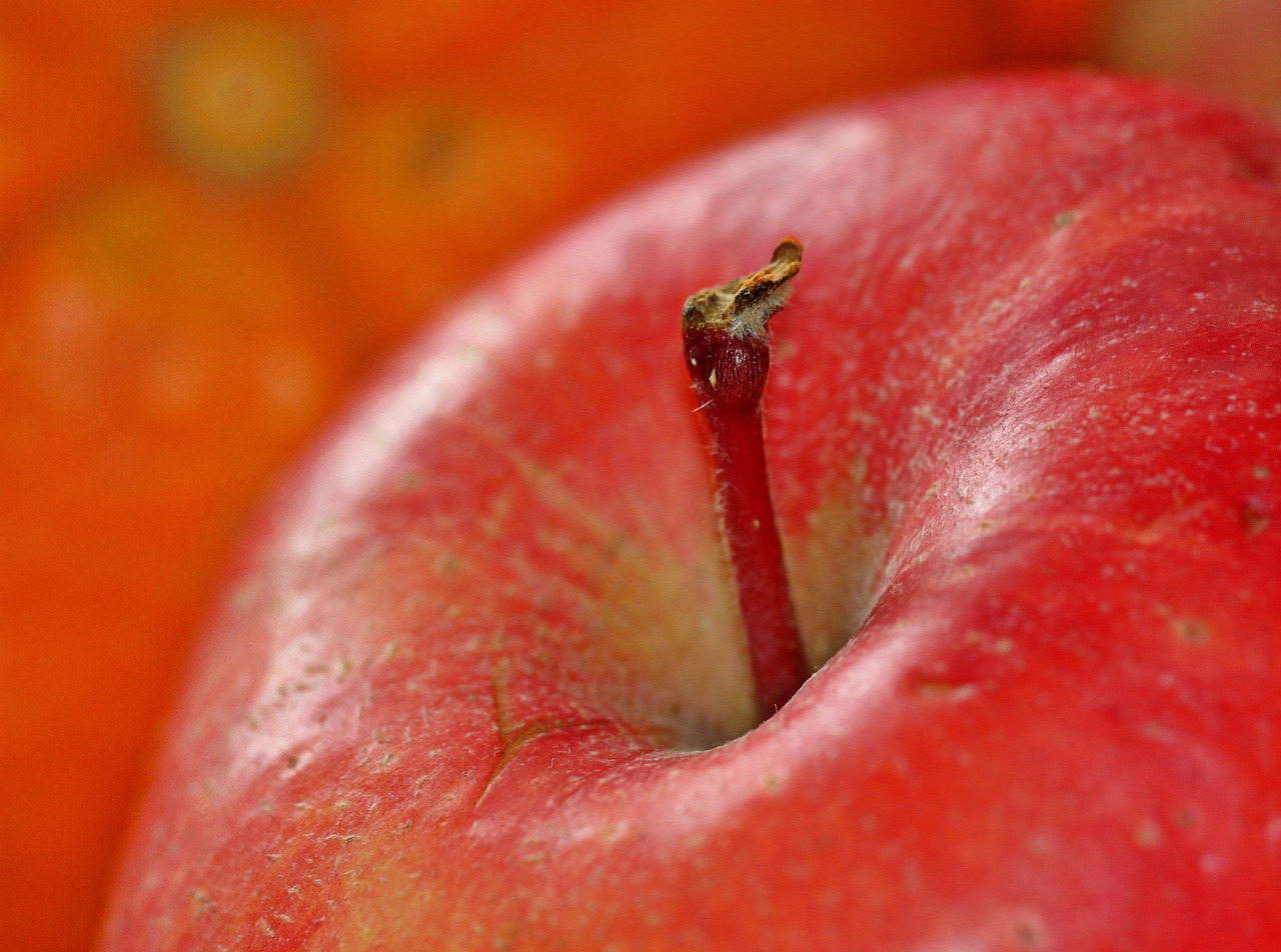 Washington's Apples: Crisp and Refreshing (image credits: pixabay)