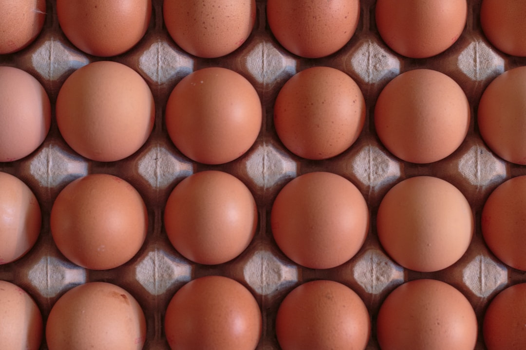 Brown Eggs (image credits: unsplash)