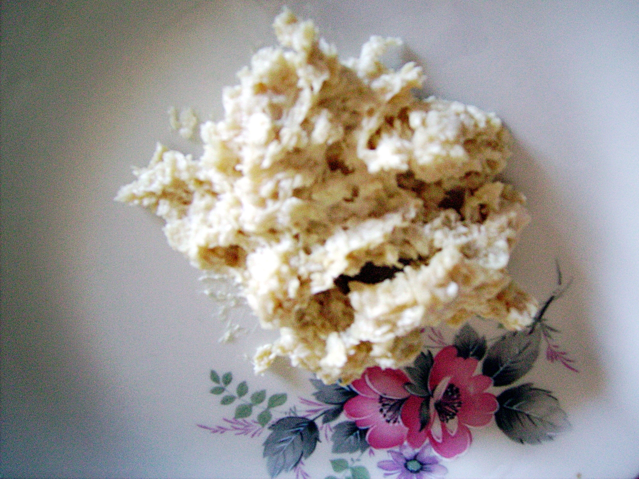 Casu Marzu: The Cheese That Moves (image credits: wikimedia)