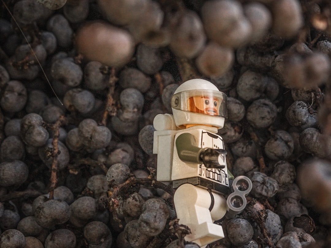 The Astronaut's Snack: Real Popcorn in Space (image credits: unsplash)