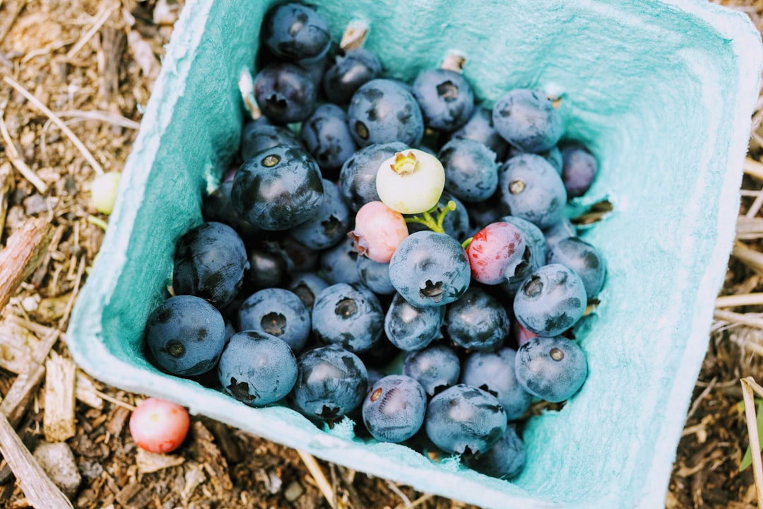 The Good: Berries (image credits: unsplash)