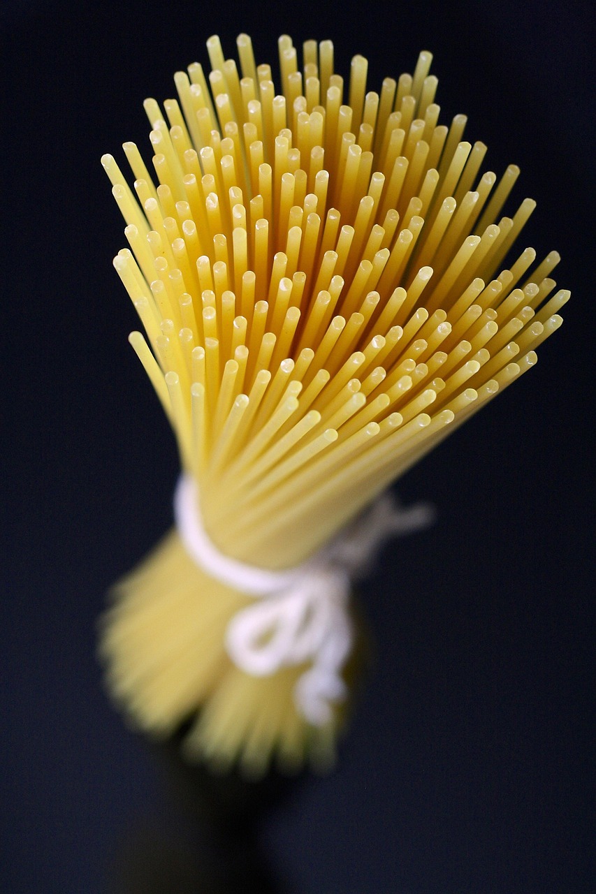 Pasta and Noodles (image credits: pixabay)