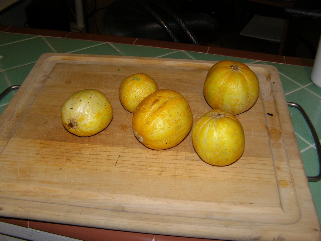 Lemon Cucumbers: The Victorian Garden Favorite (Image Credits: Flickr)