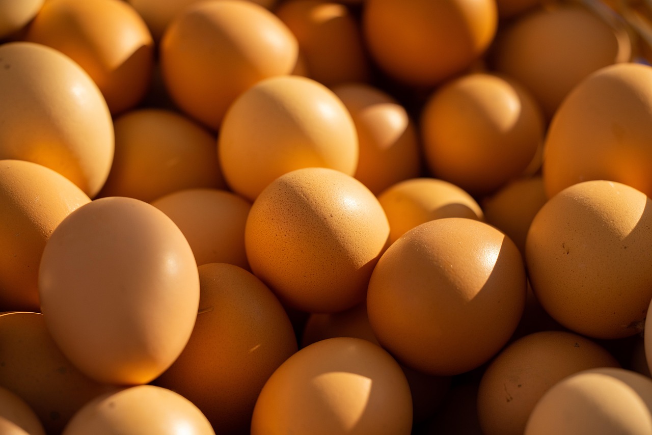 High-Protein Diets (image credits: pixabay)