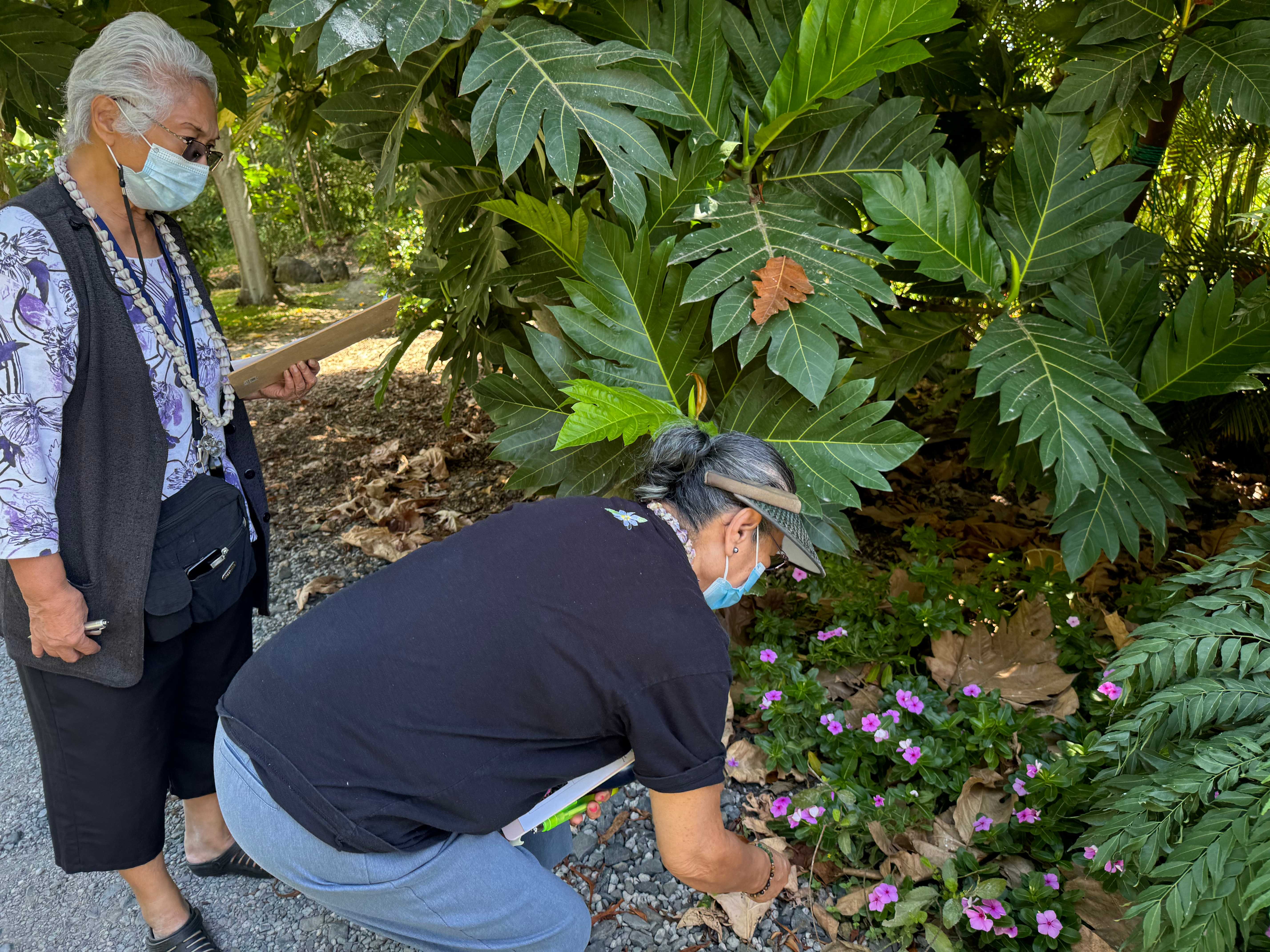 Lifelong Learning (image credits: wikimedia)