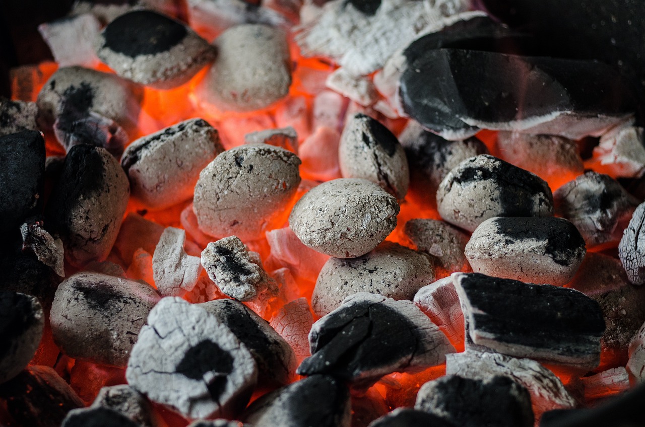 Embrace High Heat (Sometimes) (image credits: pixabay)