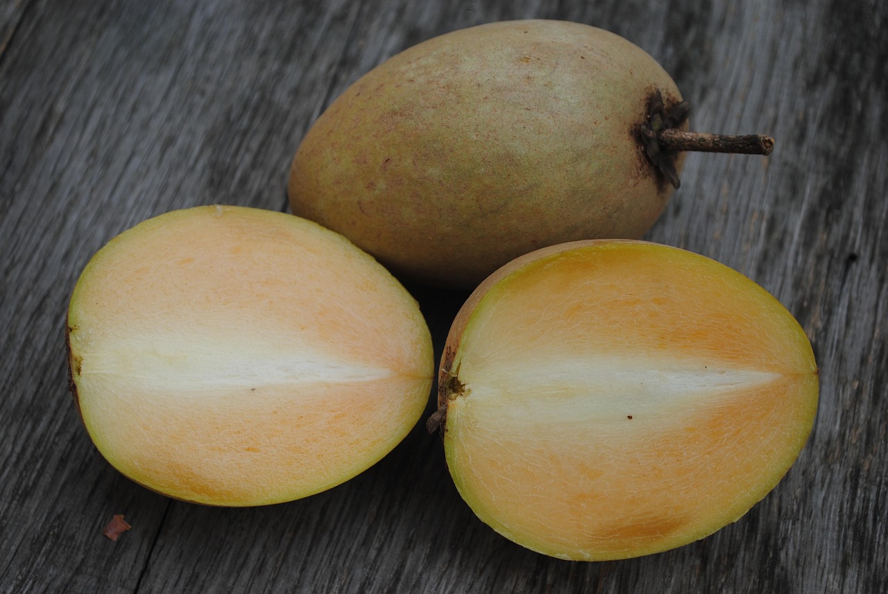 8. The Surprising Sapodilla (image credits: pixabay)
