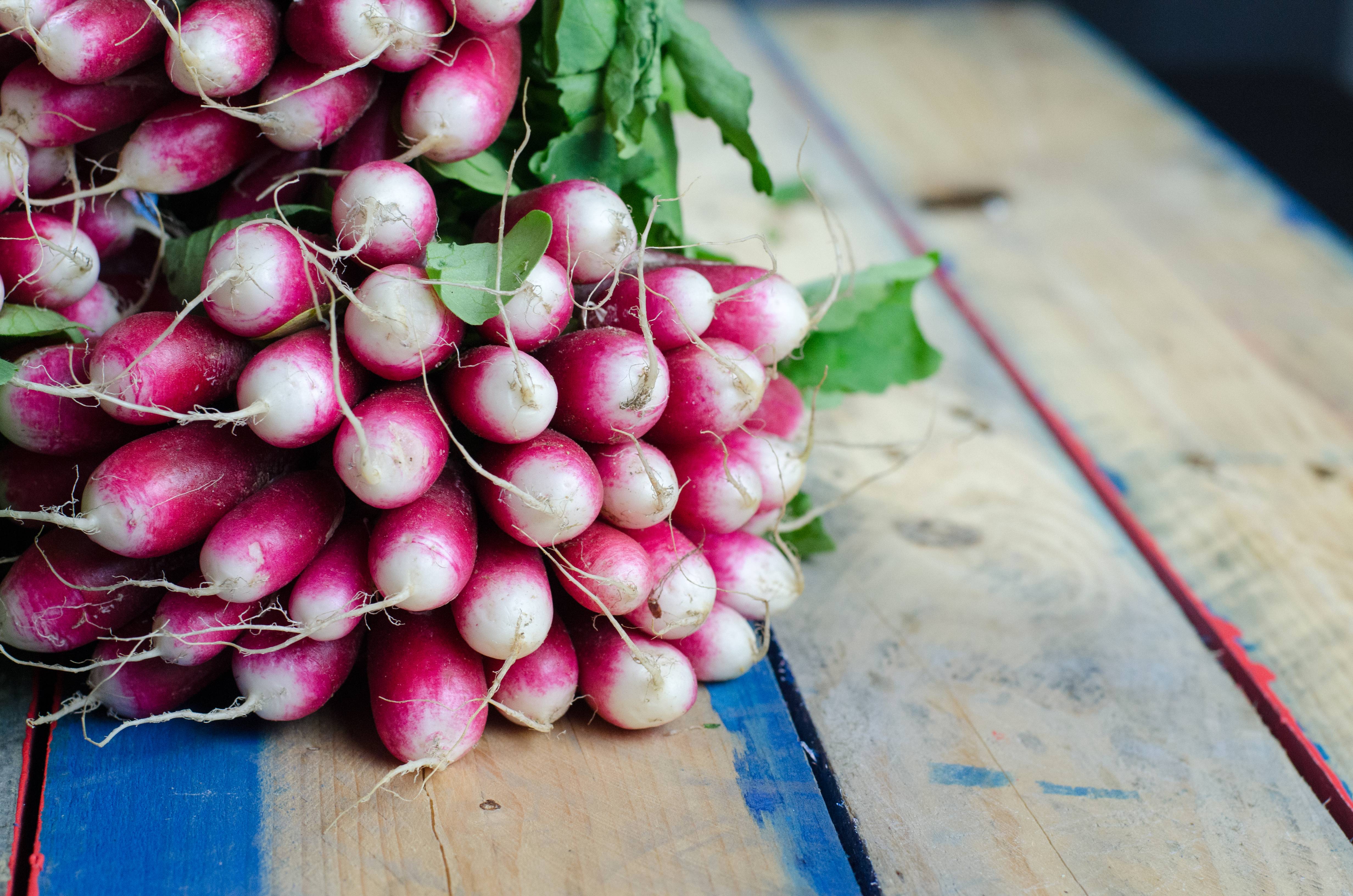 Radishes: The Peppery Hydration Surprise (image credits: wikimedia)