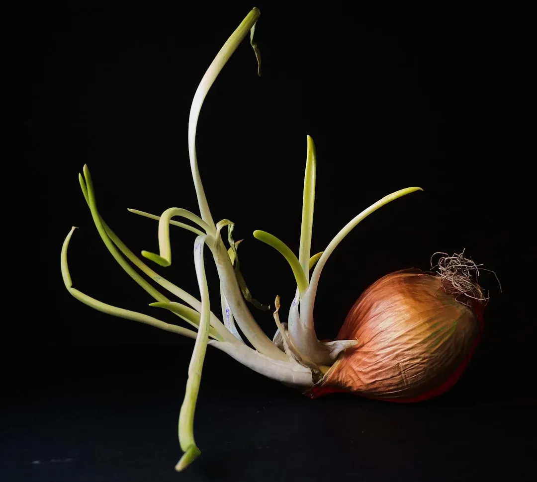 Onions: The Invisible Bloat Trigger Hiding in Everything (Image Credits: Unsplash)