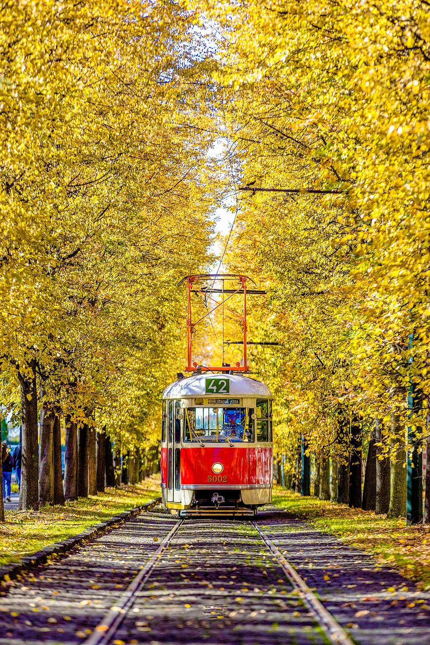 Increased Transportation Costs (image credits: pixabay)