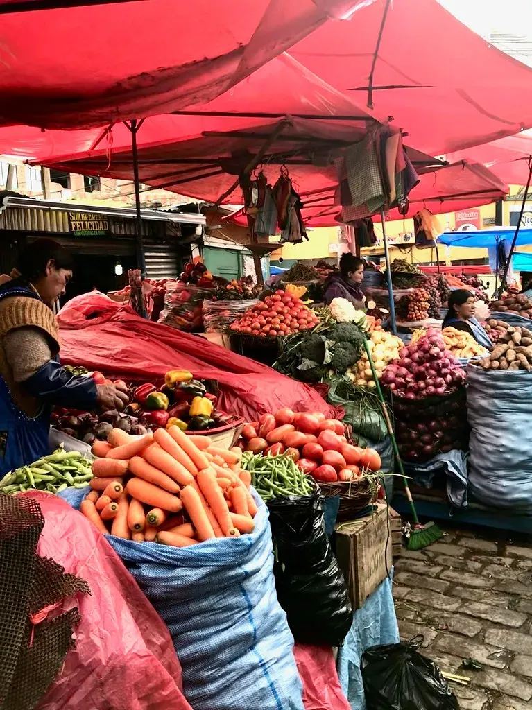 Bolivia: South America's Budget Champion (Image Credits: Flickr)