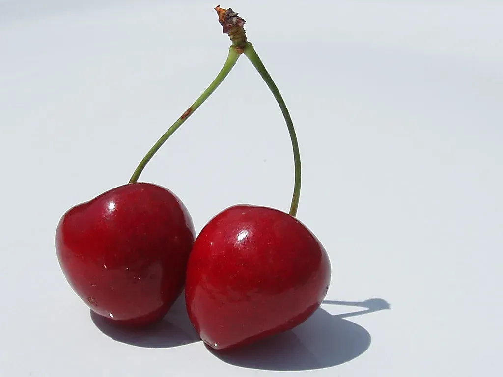Tart Cherries Are Nature's Secret Weapon (Image Credits: Flickr)