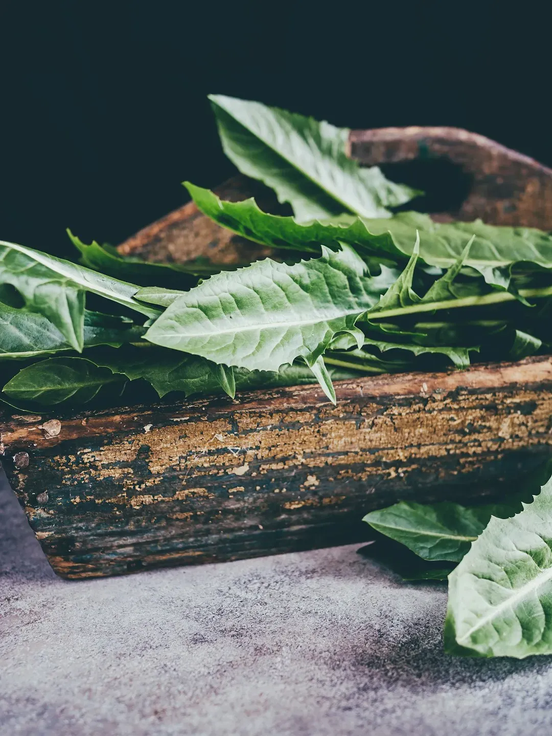 7. Dandelion Greens - The Weed That Outperforms Most Vegetables (Image Credits: Unsplash)