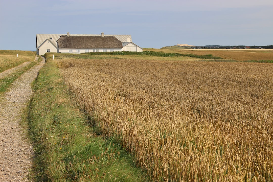 Climate-Resilient Agriculture (image credits: unsplash)
