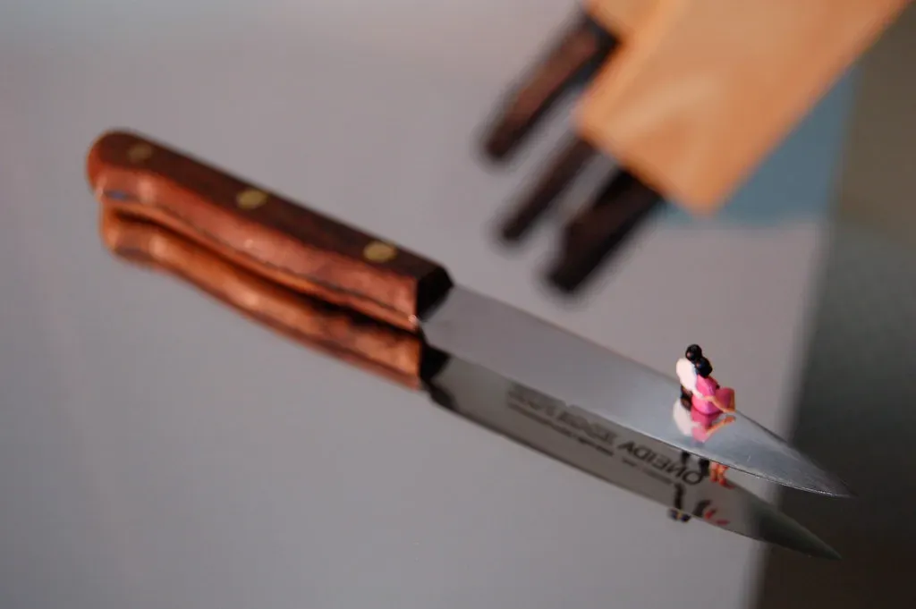 The Paring Knife: Precision in a Small Package (Image Credits: Flickr)