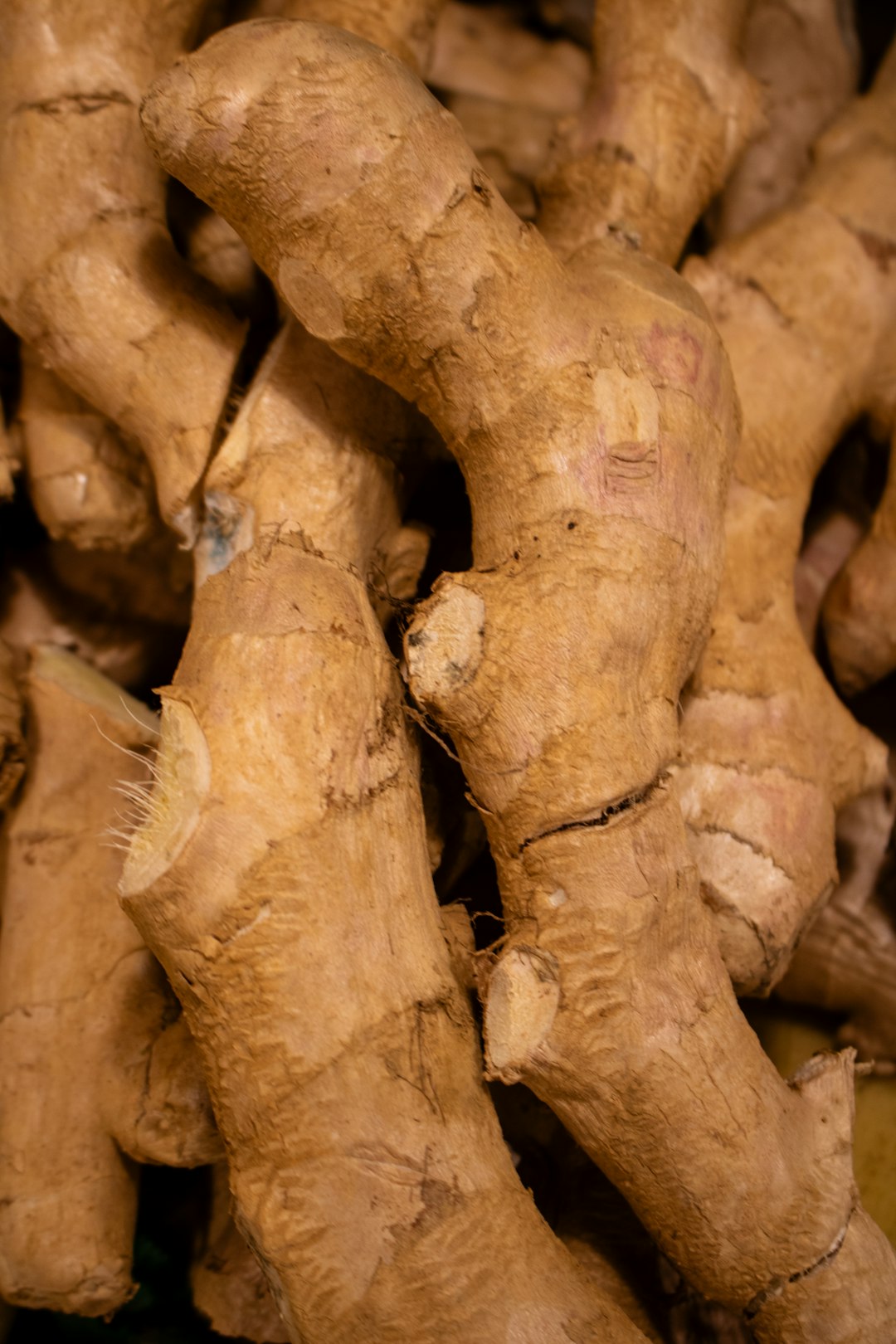Ginger: The Zesty Anti-Inflammatory (image credits: unsplash)