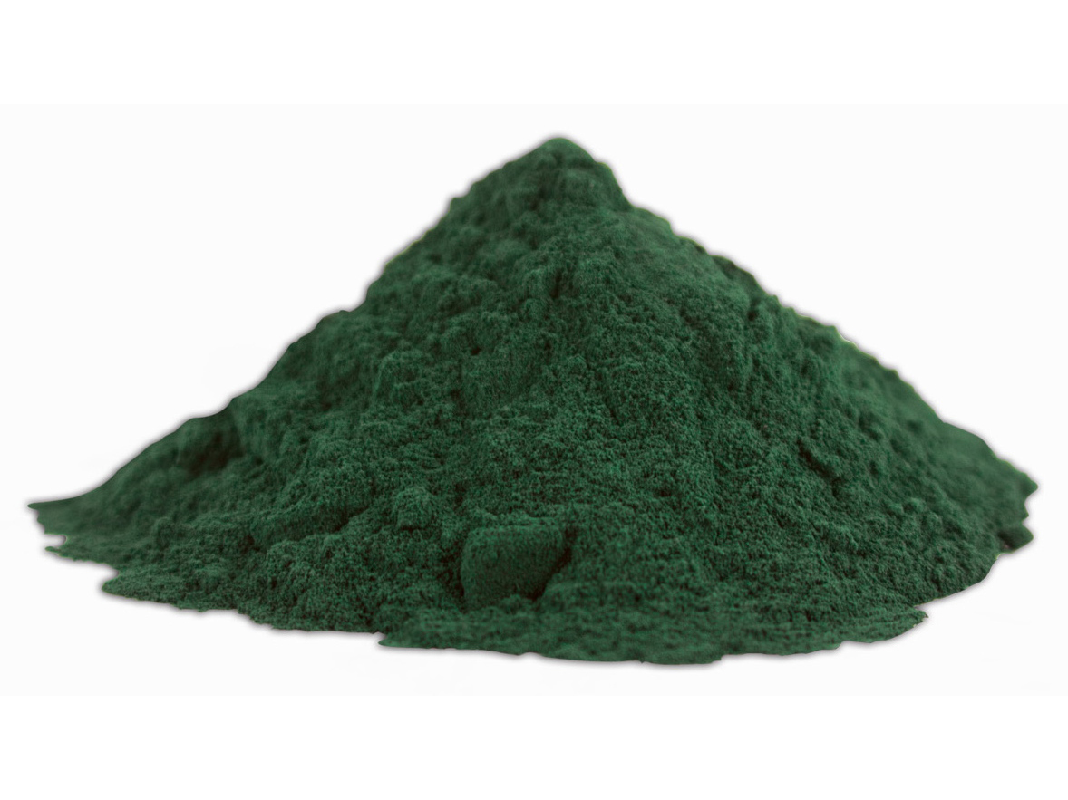 Spirulina: The Blue-Green Wonder (image credits: wikimedia)