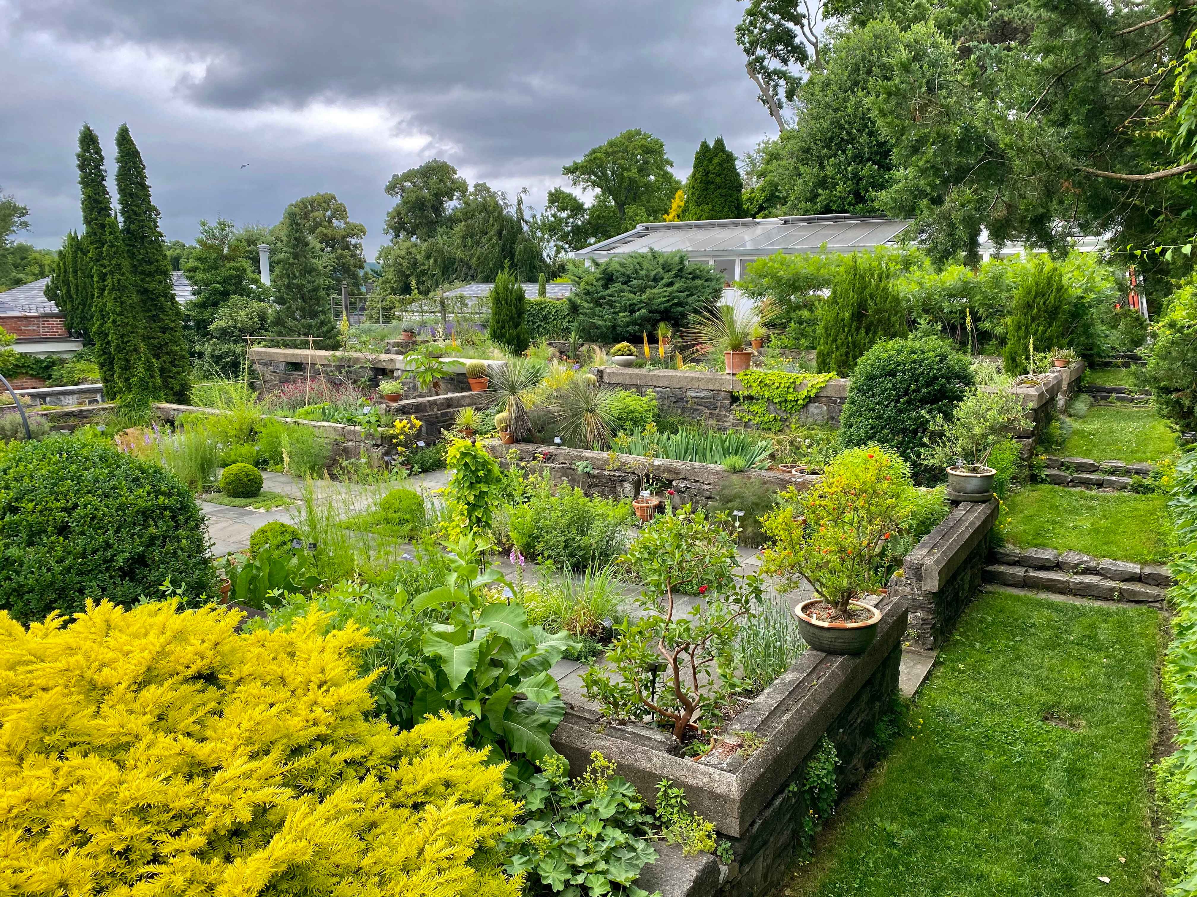 Flavor Volatility: How Climate Change Is Changing Your Herbs (image credits: wikimedia)