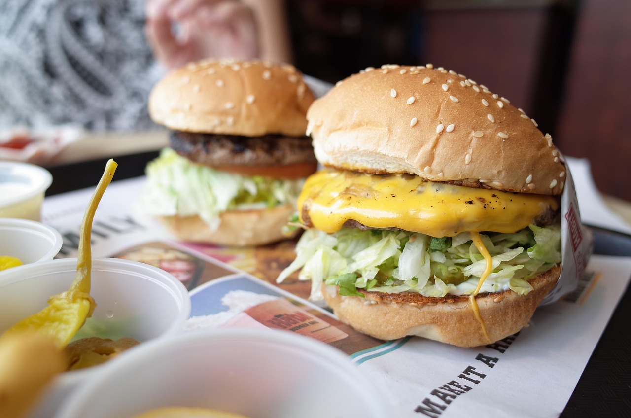 Global Spread: Cheeseburgers and Obesity Beyond the US (image credits: pixabay)