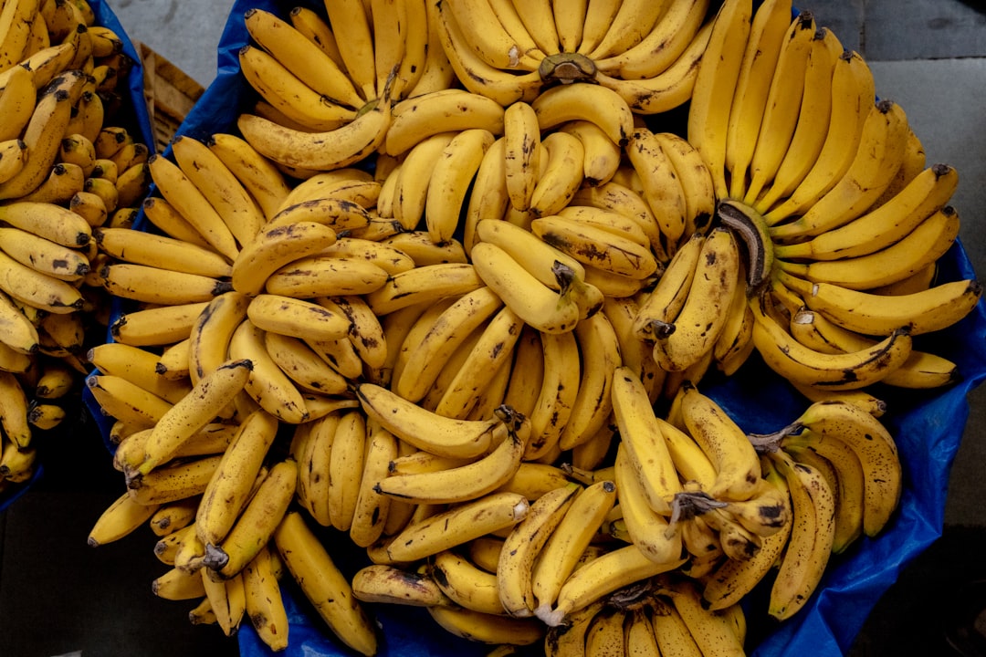 Your Grandparents Ate a Different Banana (image credits: unsplash)