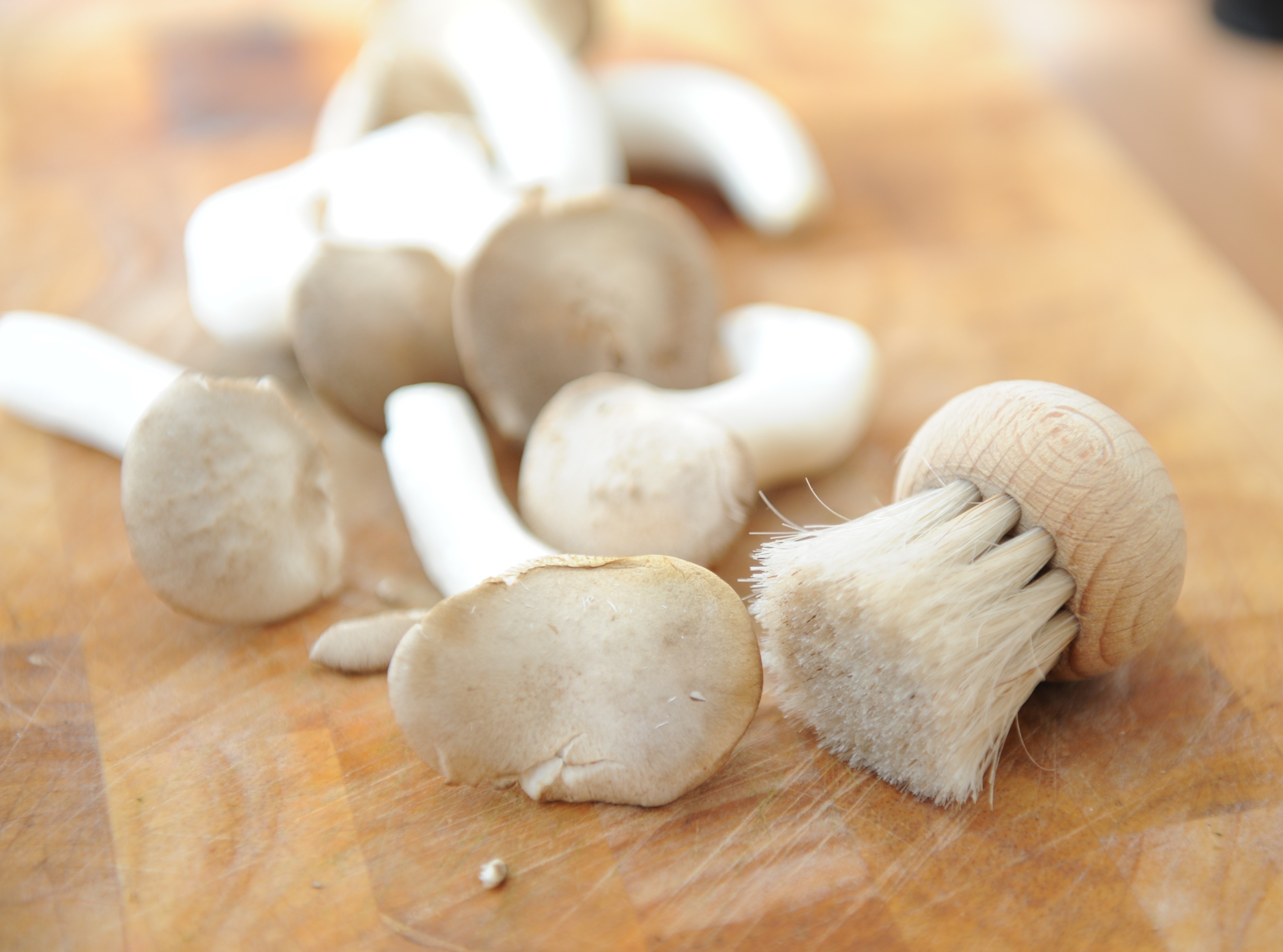 Mushrooms: The Water-Soaking Saboteurs (image credits: wikimedia)